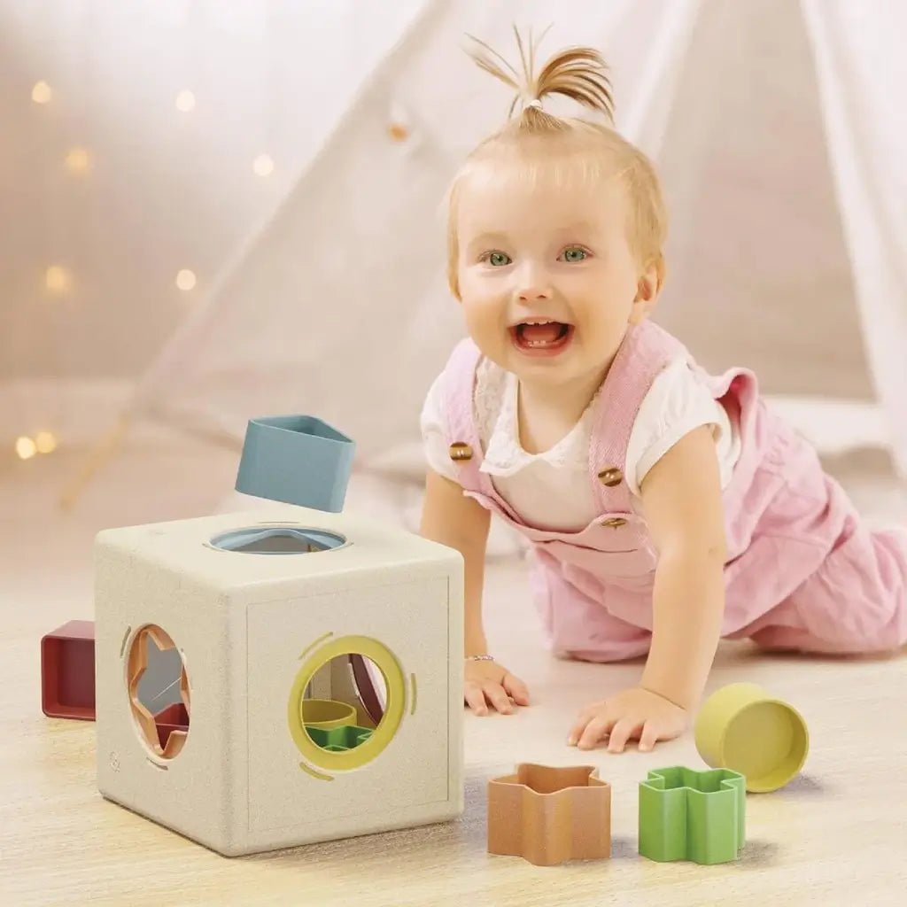 Cubo Delle Forme Kubo Shape Quercetti 80240 - BabyLud