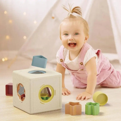 Cubo Delle Forme Kubo Shape Quercetti 80240 - BabyLud