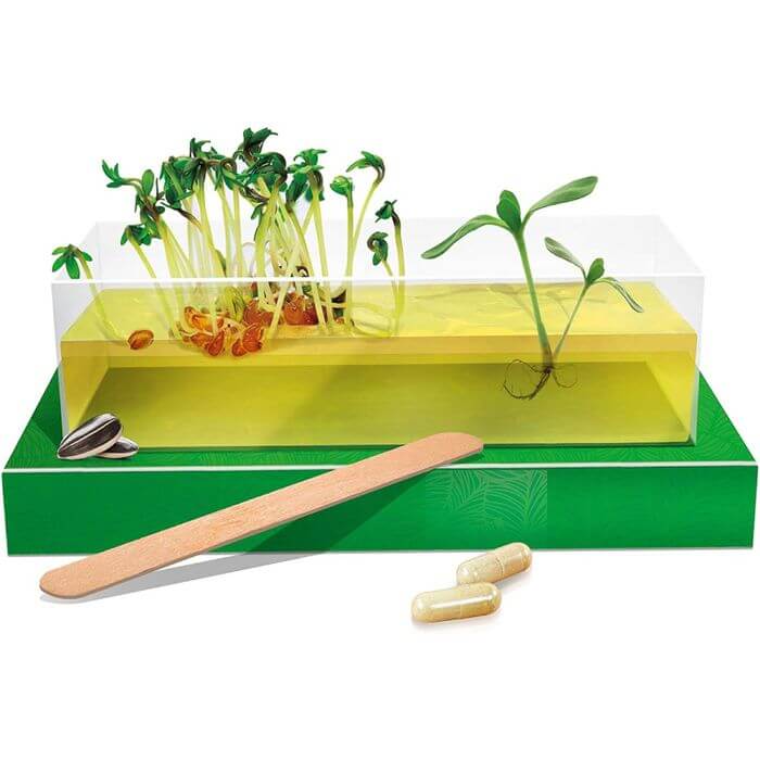 Garden Montessori Kit Scienza per Crescita Piante - BabyLud