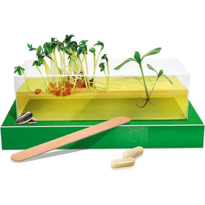 Garden Montessori Kit Scienza per Crescita Piante - BabyLud