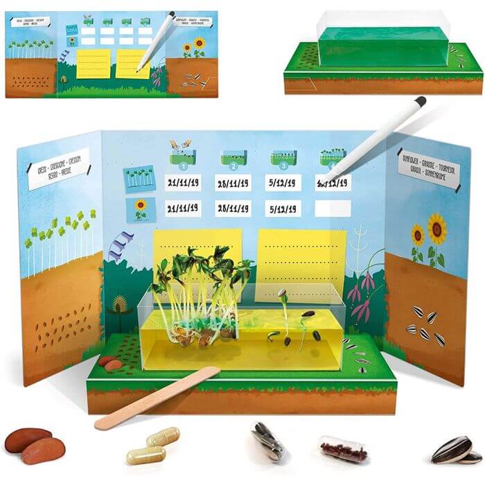 Garden Montessori Kit Scienza per Crescita Piante - BabyLud