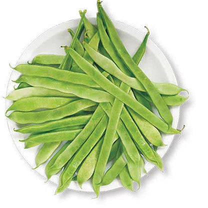 Quercetti 09598 Orto Semi Da Piantare - BabyLud